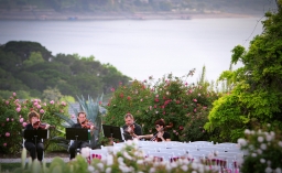 Musical Discovery Quartet at Vintage Villas, Ron Parks Photography